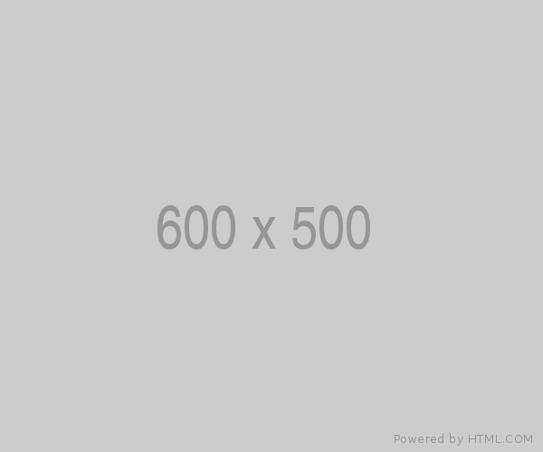 600x500